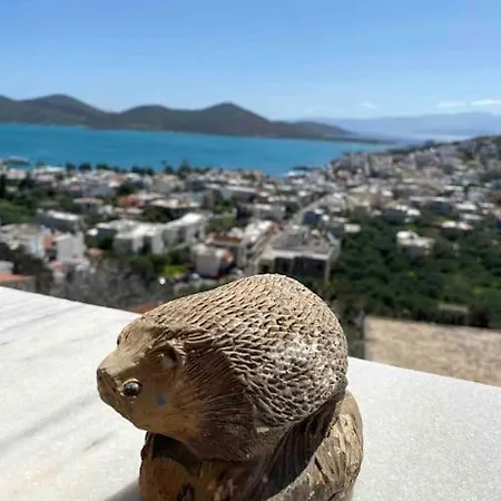Budget With Sea View In *